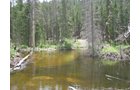 Property photo 23 - Get Lost in the Pristine Northern Colorado Rockies - Prime Building Sites